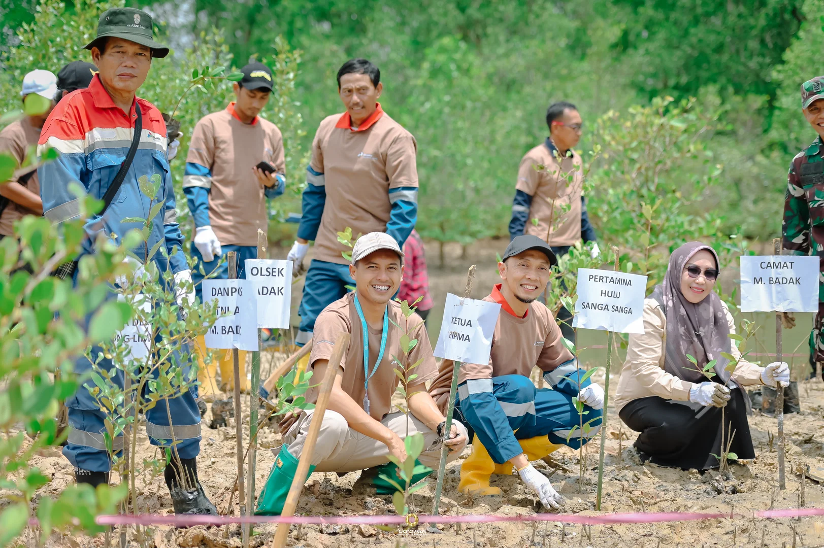 Pertamina dan HIPMA Gelar Penanaman Bakau di Muara Badak, Wujud Nyata Kepedulian Lingkungan